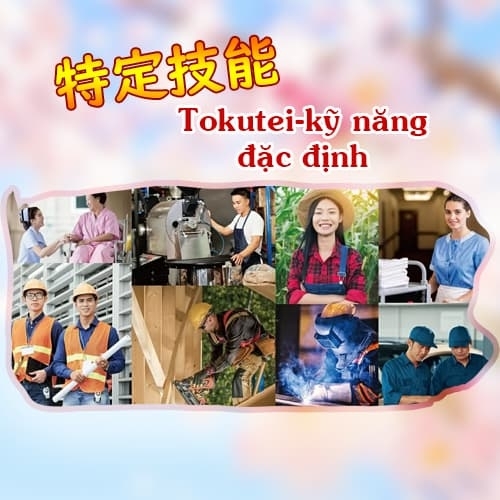 Tokutei là gì? Tất tần tật về visa kỹ năng đặc định Nhật Bản
